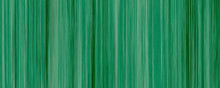 Tropical Green Bamboo Texture Background