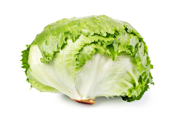 Iceberg lettuce