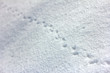 Fußabdrücke im Schnee, bei Sonnenschein