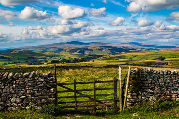 Ingleborough View