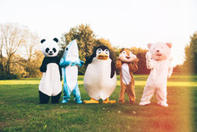 Group Of Animals Mascots Doing Party
