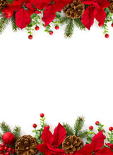 Christmas Decoration. Frame Of Flowers Of Red Poinsettia, Branch Christmas Tree, Ball, Red Berry On A White Background With Space For Text. Top View, Flat Lay