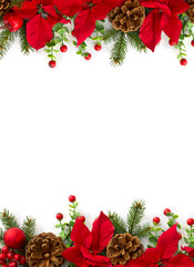 christmas decoration. frame of flowers of red poinsettia, branch christmas tree, ball, red berry on 