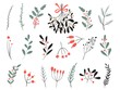 Hand drawn vector winter elements. Christmas floral. Christmas branches. Perfect for invitations, greeting cards, posters, prints. Winter branches and leaves. Design objects.