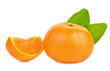  oranges, sliced on a white background