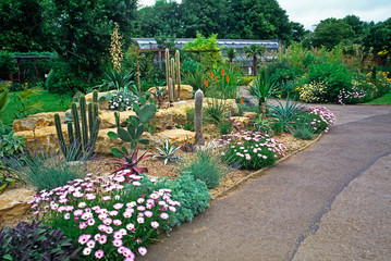 Wall Mural - A dry Cactus garden at a cotswold garden and wildlife park
