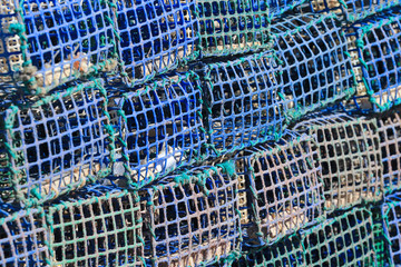 traditional traps for capture fisheries and seafood