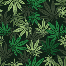 Seamless Pattern Of Marijuana Leaf.