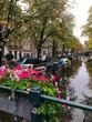 Flowers on the Amsterdam canal