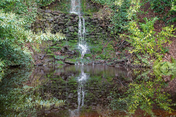 Wall Mural - Small waterfall with lush green foliage 