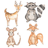 Watercolor hand drawn animals   set, isolated on white background.illustration of fox,mouse,roe deer and raccoon. woodland animal.