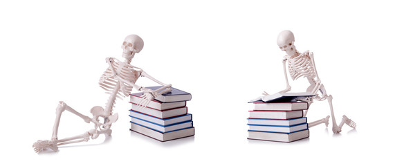 Wall Mural - Skeleton reading books on white