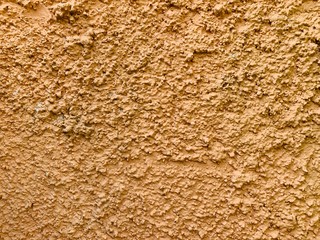 closeup of brown wood texture