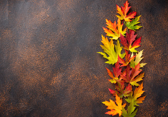 autumn background with maple leaves