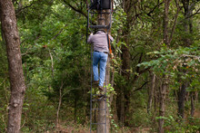 Hunter Decending From Tree Stand In Deep Woods