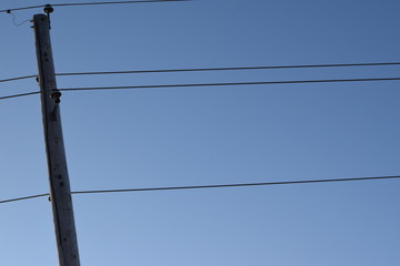 Poster - Electric Wires