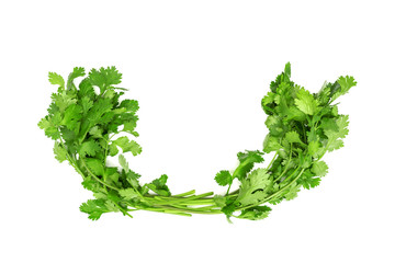 Wall Mural - coriander isolated on white background