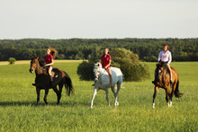 Teenage Girls On Horse Walking On Meadow In Afternoon Without Saddle