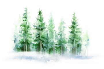 Wall Mural - Green landscape of foggy forest, winter hill. Wild nature, frozen, misty, taiga. Winter watercolor background