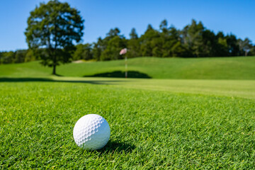 Wall Mural - View of Golf Course with beautiful putting green. Golf course with a rich green turf beautiful scenery.