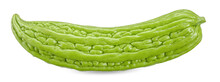 Bitter Melon Isolated On White Clipping Path