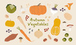 Autumn Vegetable Set. Vector Hand-drawn illustrations isolated on a cream background.