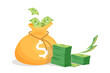 Money bag flat vector illustration