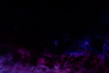 beautiful abstract purple and blue feathers on the dark and black background and colorful soft black