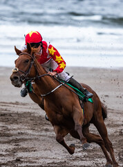 Wall Mural - Lead race horse and jockey galloping at speed on the beach