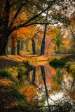 Fototapeta Natura - Beautiful autumn landscape with pleasant warm sunny light. Picture taken in Bad Muskau park, Saxony, Germany. UNESCO World Heritage Site.