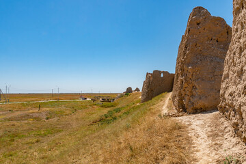 Wall Mural - Turkestan Ancient Sauran 46