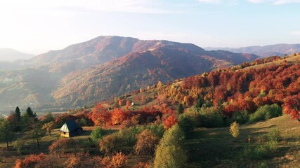 Wall Mural - Flying over the beautiful autumn hills of the countryside and colorful mountains glowing with bright evening light. Aerial view of a colorful fall season. UHD 4K video