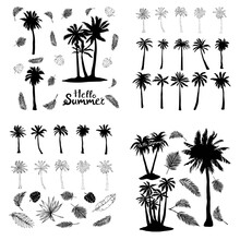 Palm Tropical Tree Set Icons Black Silhouette Vector Illustration Isolated On White Background
