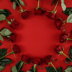 Fotomurales - Fresh reed roses and free space for your decoration. Flat photo , copy space. Top view. 
