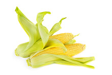Double Sweet Corn Ears Isolated On White Background.