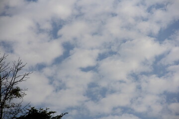 blue sky and clouds