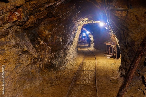Fotomural Mining tunnel underground with lights and rails