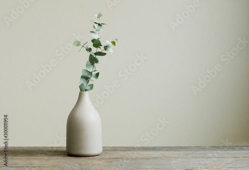 Cuadros en Lienzo Eucalyptus branch in a vase on the table with copy space