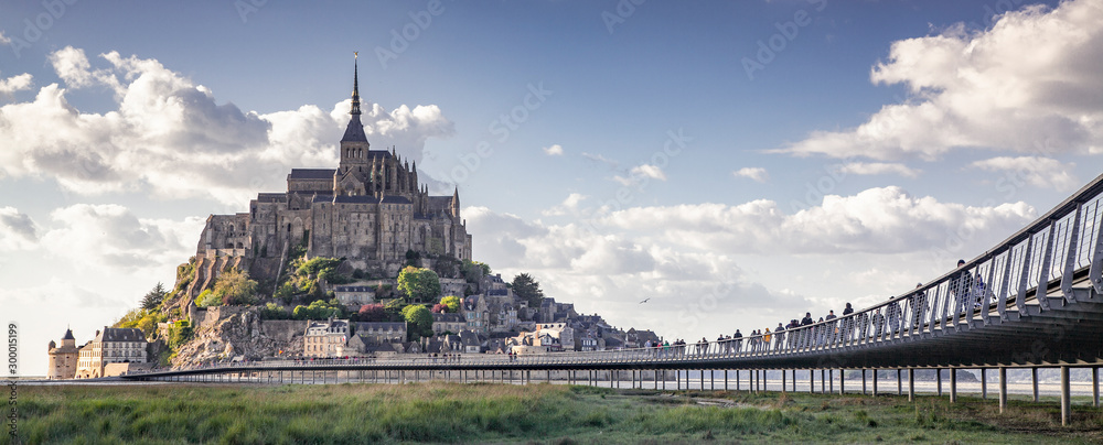 tidelands with Mont Saint-Michel, English Channel, Way of St. James, Route of Santiago de Compostela, Basse-Normandie, France - obrazy, fototapety, plakaty 