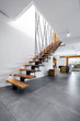 © Cinematographer - Modern interior design - stairs