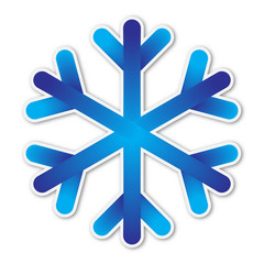 Canvas Print - vector snowflake icon isolated.