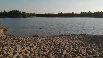 Wall Mural - sandy beach by a lake