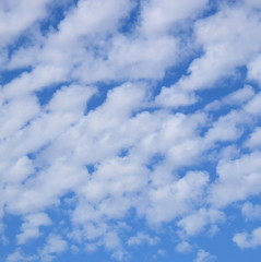 Schäfchenwolken am blauen Himmel