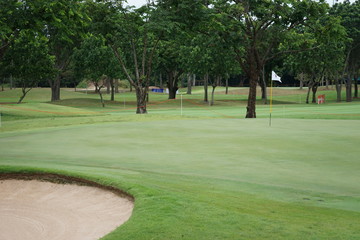 Wall Mural - golf course in the park