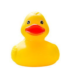 rubber duck