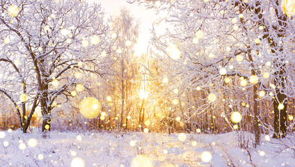 snowy winter landscape panorama