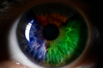 Wall Mural - Red green blue human eye close up background
