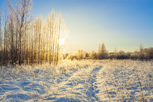 Snowy Winter Landscape With Forest And Sun