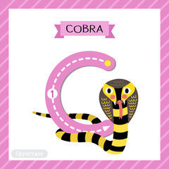 Wall Mural - Letter C uppercase tracing. Black and Yellow Cobra snake