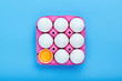 White chicken eggs in a pink carton tray box on blue background with copy space
